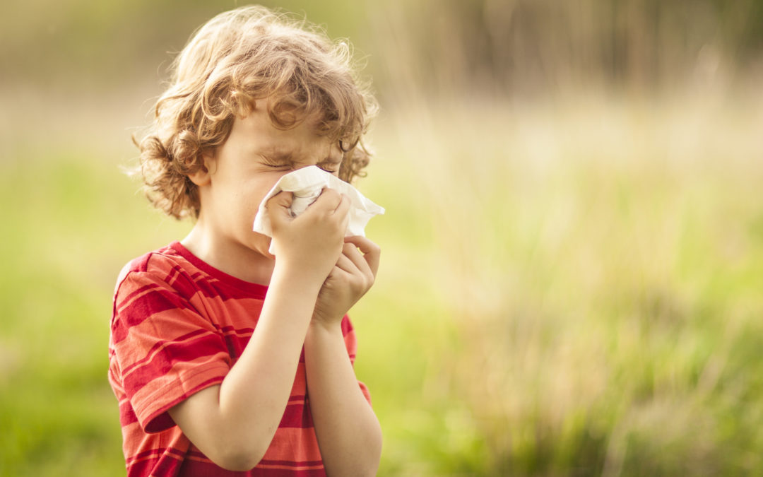 Natural Solutions to Treat Fall Allergies