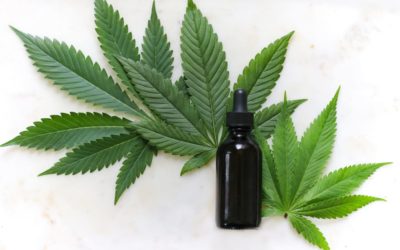 What About CBD Oil During Pregnancy?