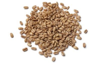 5 Ancient Grains You Should Give a Try