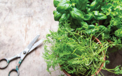 8 Eco-Friendly Picks to  Refresh  Your Diet